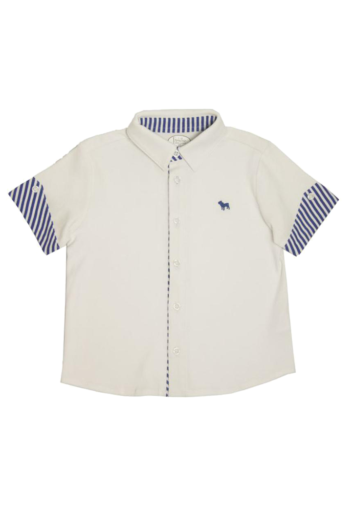 Blue/ White Stripe on White Button Down Shirt