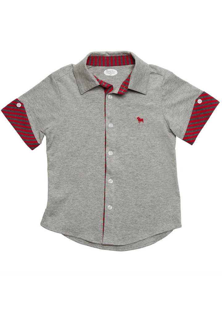 Red/ Gray Stripe Sleeve on Gray Button Down Shirt